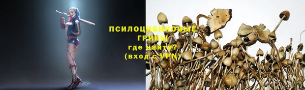 дмт Беломорск